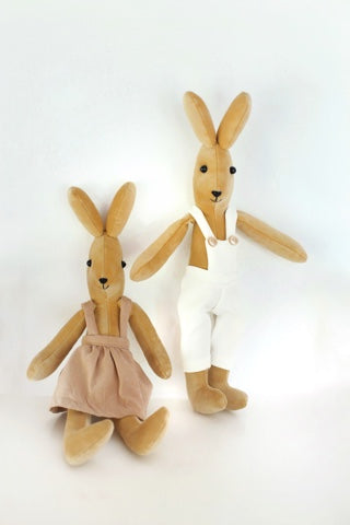 Bunny the little explorer