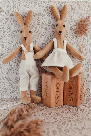 Bunny the little explorer