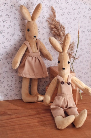 Bunny the little explorer